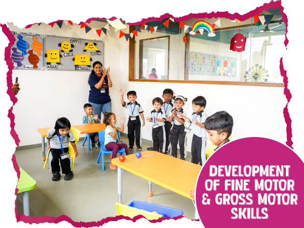 Development of Fine Motor & Gross Motor Skills